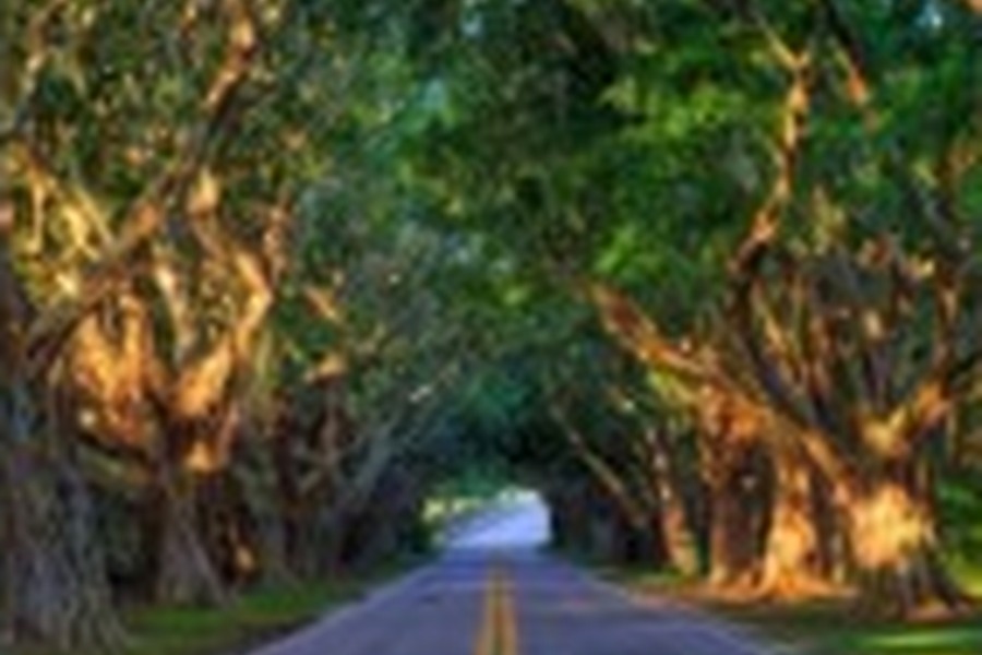 Electrical & Technology Services in Hobe Sound, FL
