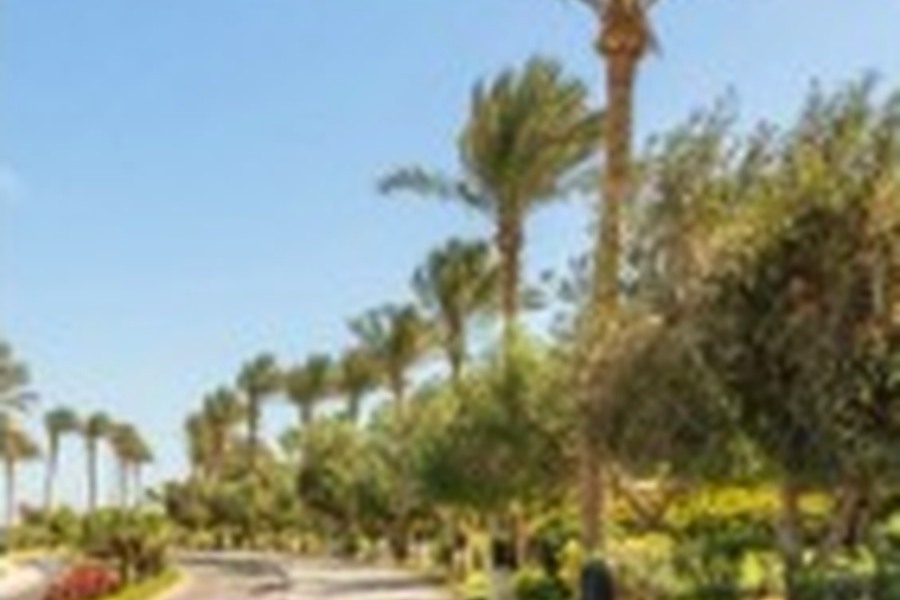 Electrical & Technology Services in Palm Springs, FL
